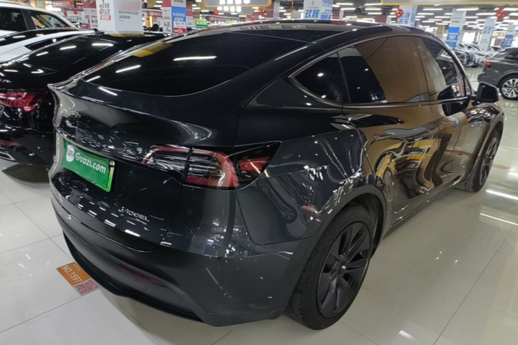 Tesla Model Y 2024 car image #7
