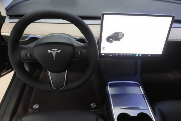 Tesla Model 3 2021 immagine di auto #11