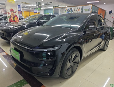 Tesla Model Y 2025 car image 