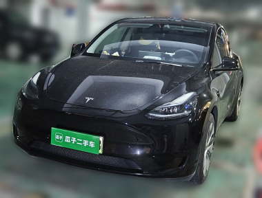 Tesla Model Y 2022 immagine di auto 