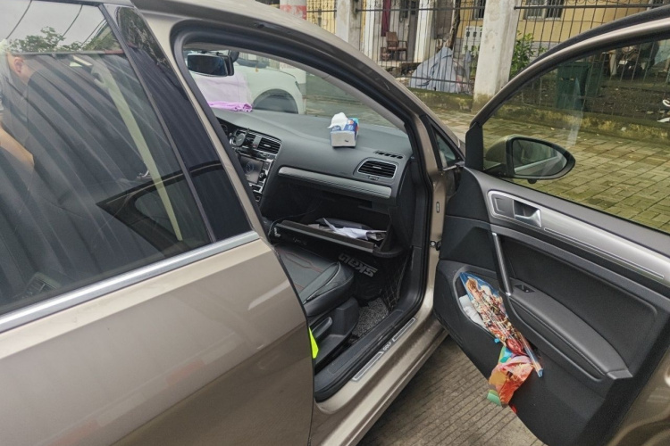 Volkswagen Golf 2019 #27 Volkswagen Golf 2019 car image #27