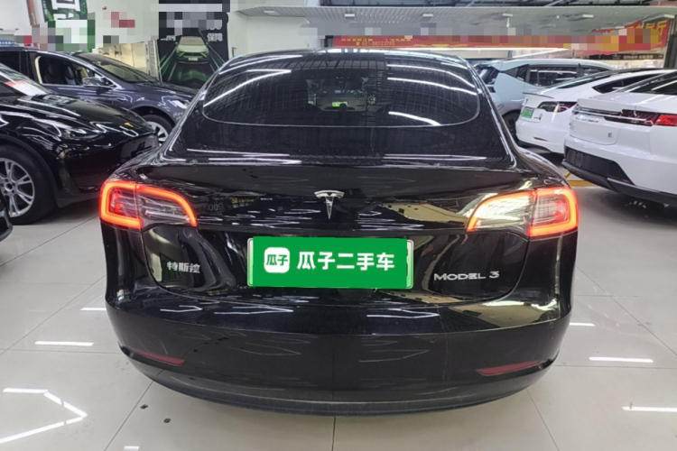 Tesla Model 3 2020 car image #6