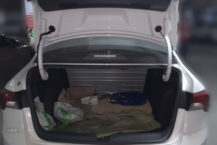 Skoda Rapid 2020 car image #21