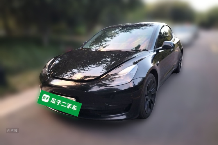 Tesla Model 3 2021 #2 Tesla Model 3 2021 car image #2