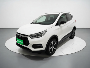 BYD Yuan New Energy 2019 car image 