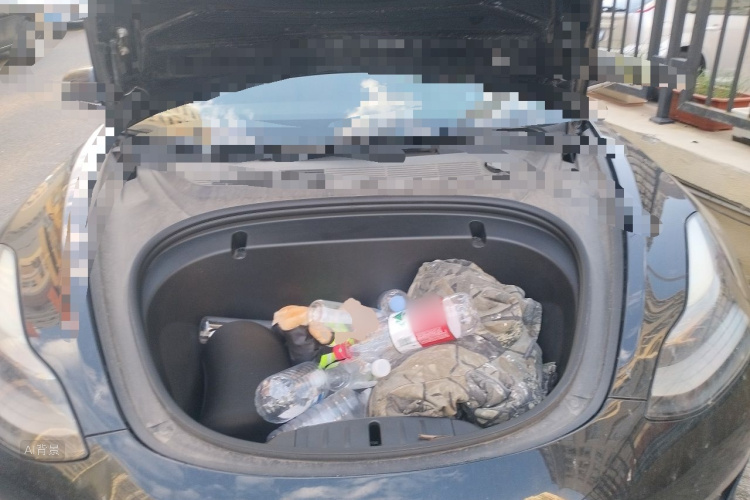 Tesla Model 3 2020 car image #22
