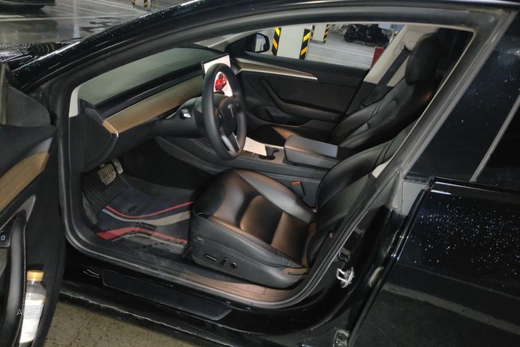 Tesla Model 3 2022 car image #18