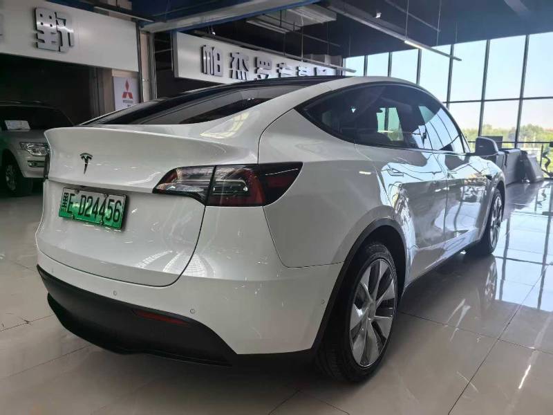 Tesla Model Y 2021 car image #4
