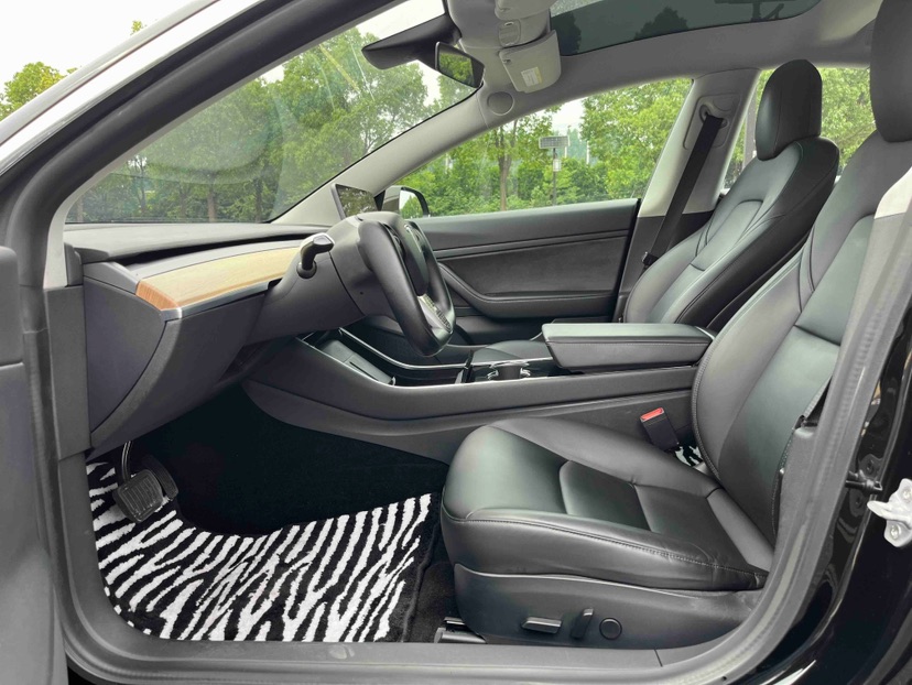 Tesla Model 3 2020 car image #5