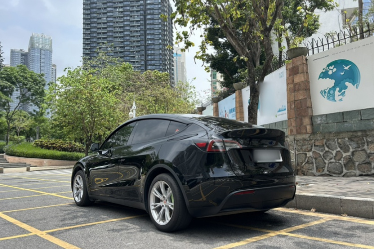 Tesla Model Y 2023 immagine di auto #9