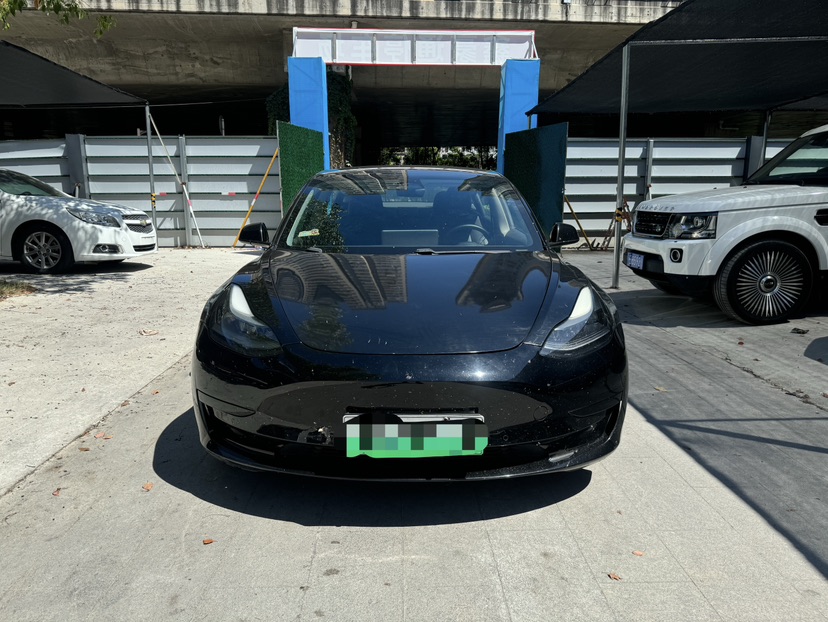 Tesla Model 3 2021 car image 