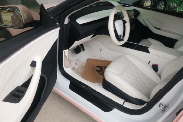Tesla Model 3 2024 #16 Tesla Model 3 2024 immagine di auto #16