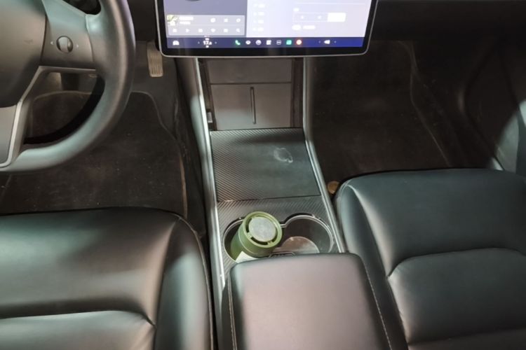 Tesla Model 3 2020 car image #14