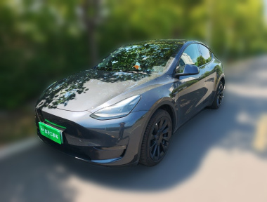 Tesla Model Y 2024 car image 