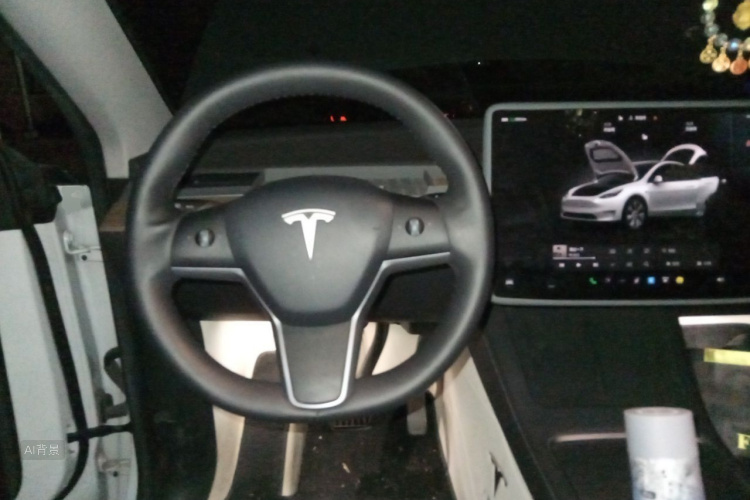 Tesla Model Y 2023 car image #12