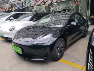 Tesla Model 3 2021 Tesla Model 3 2021 car image