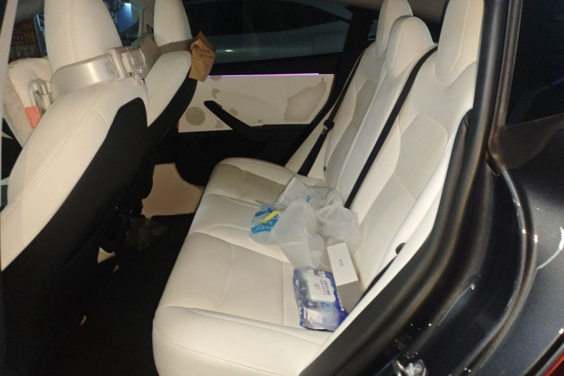 Tesla Model 3 2024 #19 Tesla Model 3 2024 car image #19