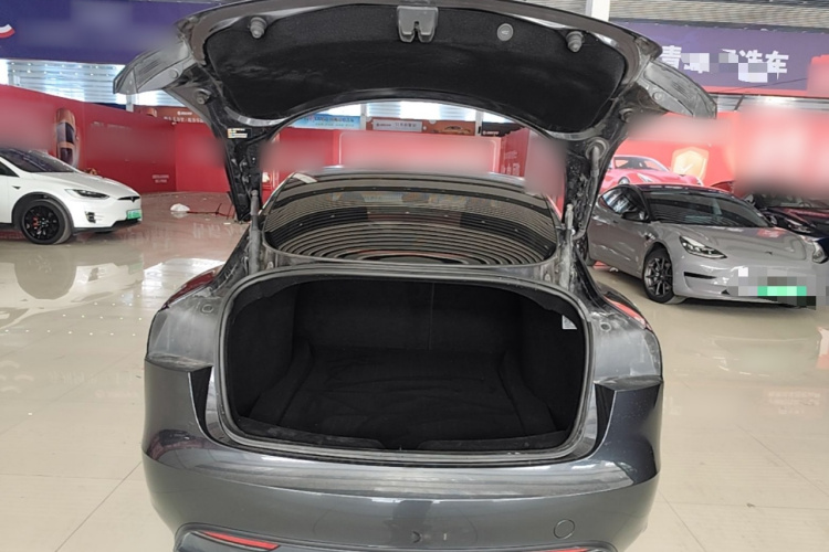 Tesla Model 3 2024 car image #19
