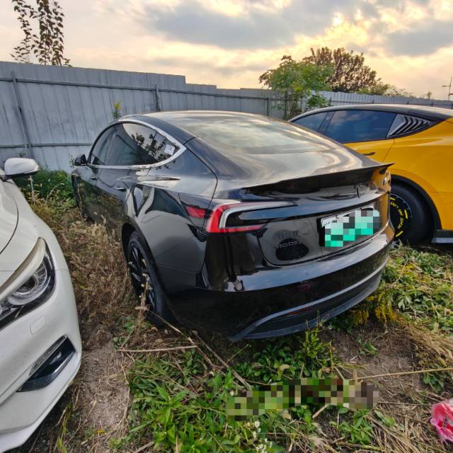 Tesla Model 3 2024 #3 Tesla Model 3 2024 изображение автомобиля #3