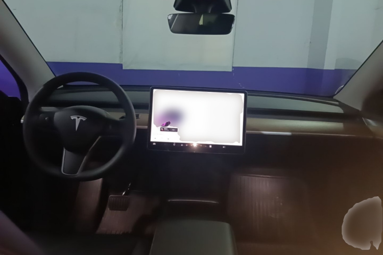 Tesla Model Y 2022 car image #10