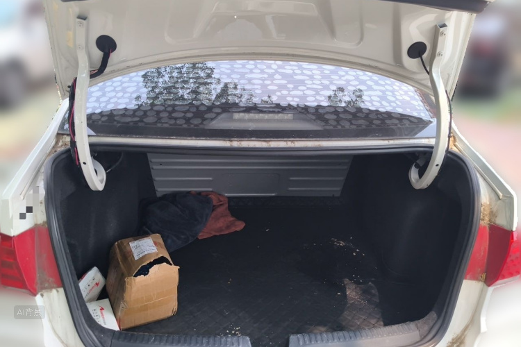 Volkswagen Santana 2018 car image #21