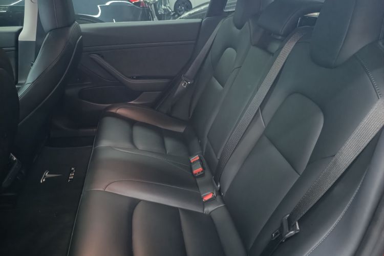 Tesla Model 3 2020 #17 Tesla Model 3 2020 car image #17