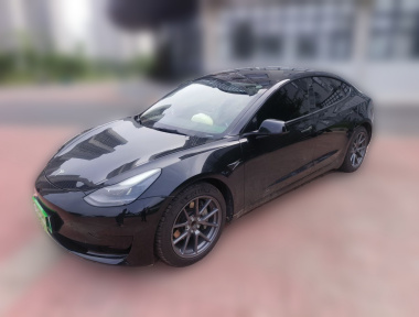 Tesla Model 3 2021 car image 