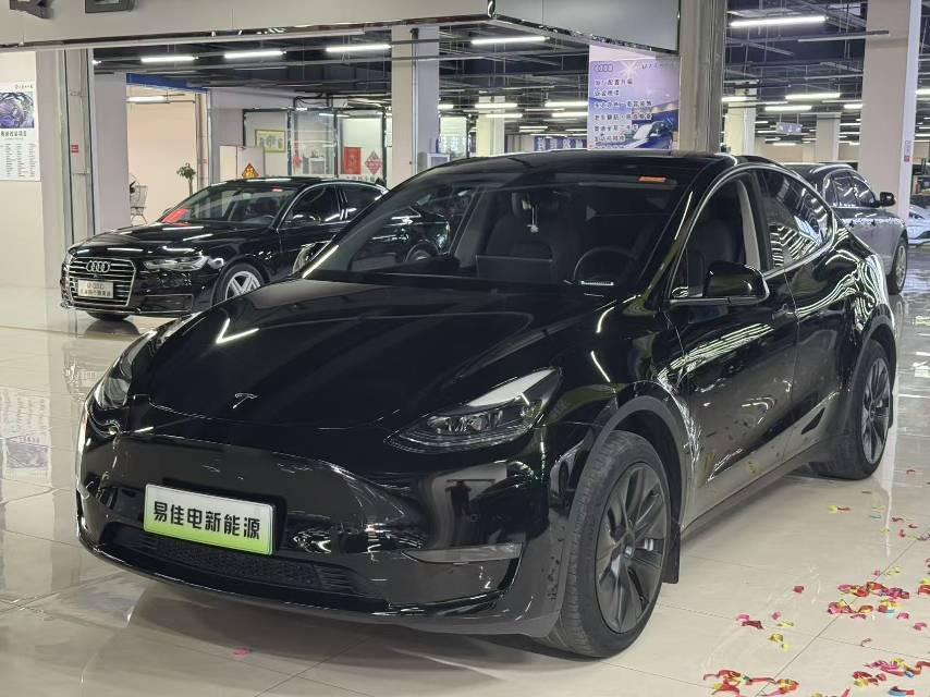 Tesla Model Y 2023 Tesla Model Y 2023 car image