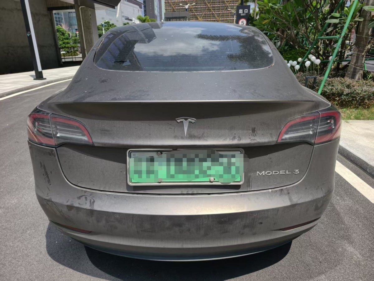 Tesla Model 3 2021 #5 Tesla Model 3 2021 car image #5