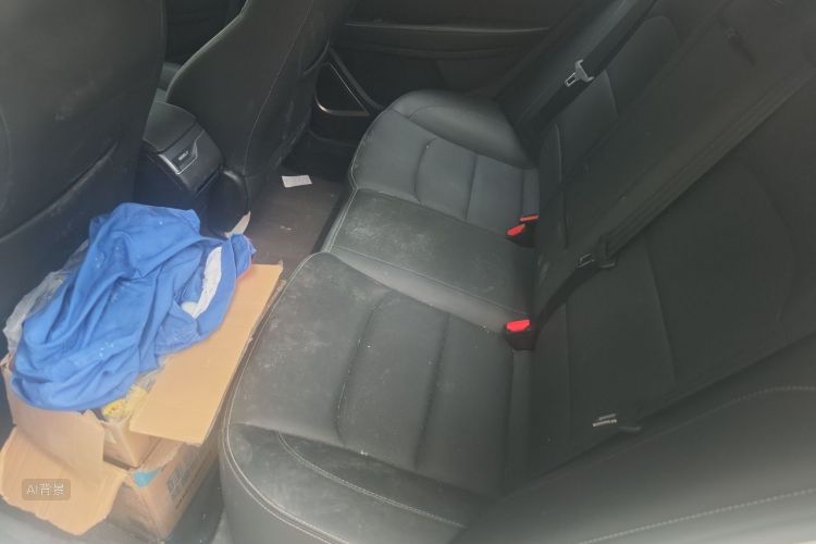 GEELY Emgrand 2019 car image #19