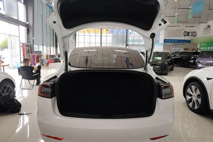 Tesla Model 3 2023 car image #19