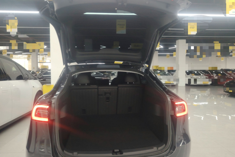 Tesla Model Y 2024 immagine di auto #19