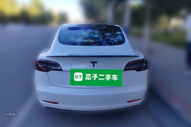 Tesla Model 3 2020 car image #6
