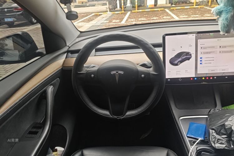 Tesla Model Y 2021 car image #12
