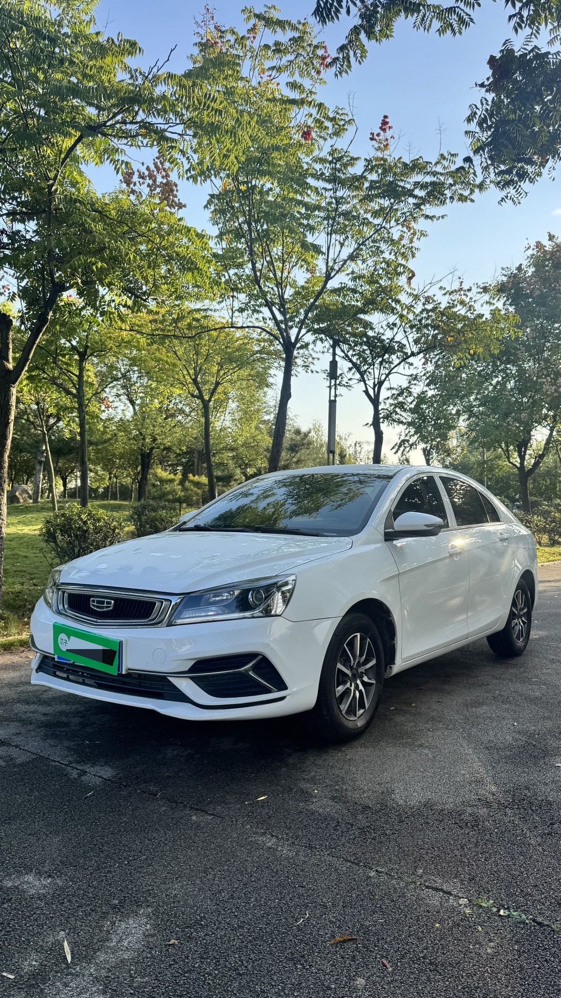 GEELY Emgrand 2019 GEELY Emgrand 2019 car image