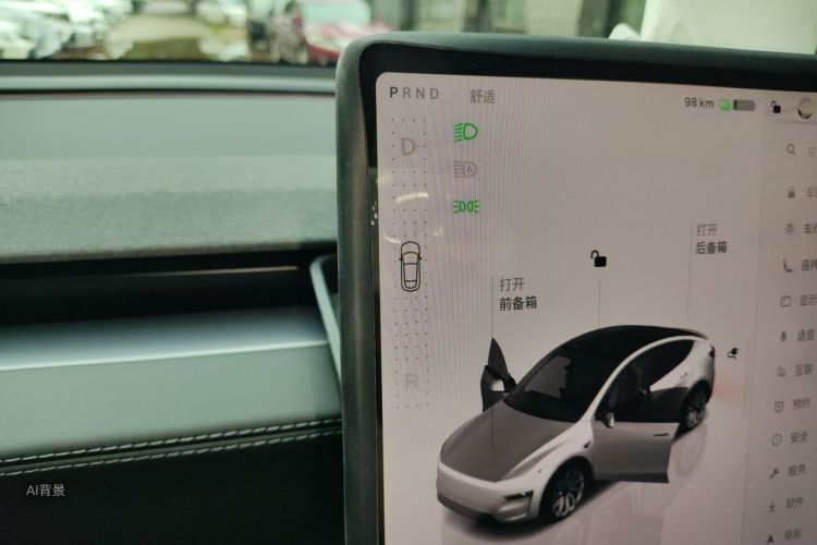 Tesla Model Y 2025 car image #16