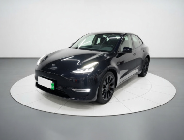 Tesla Model Y 2021 Tesla Model Y 2021 car image