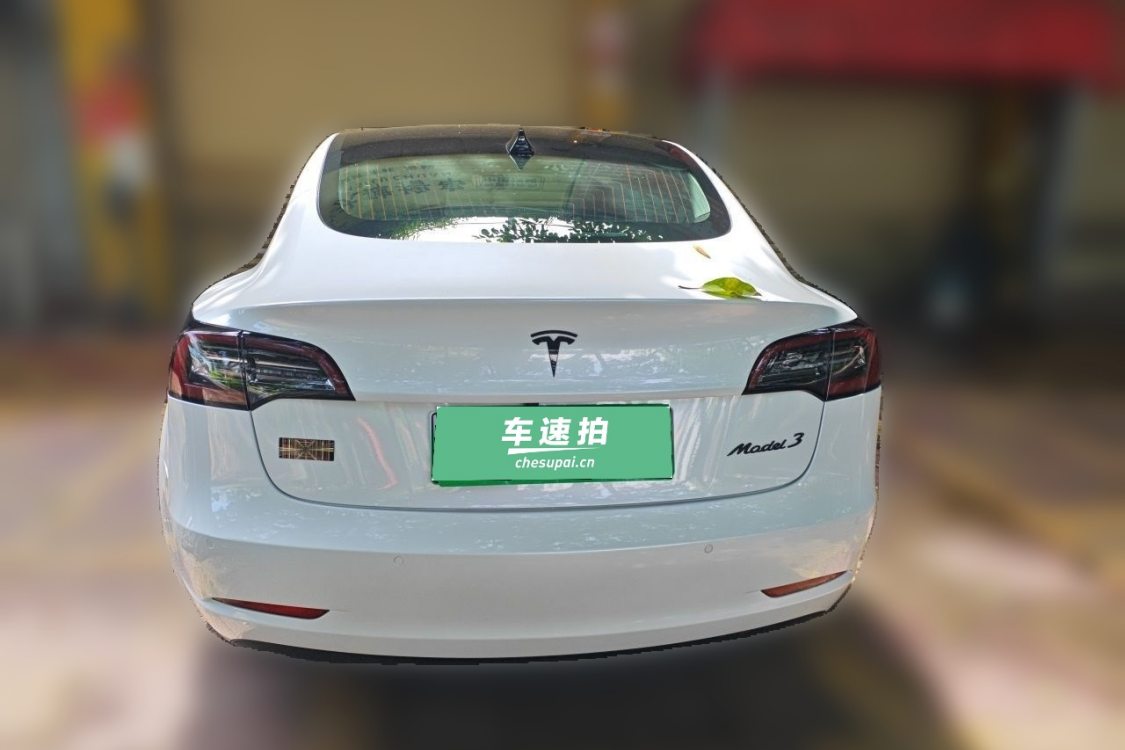 Tesla Model 3 2020 car image #6