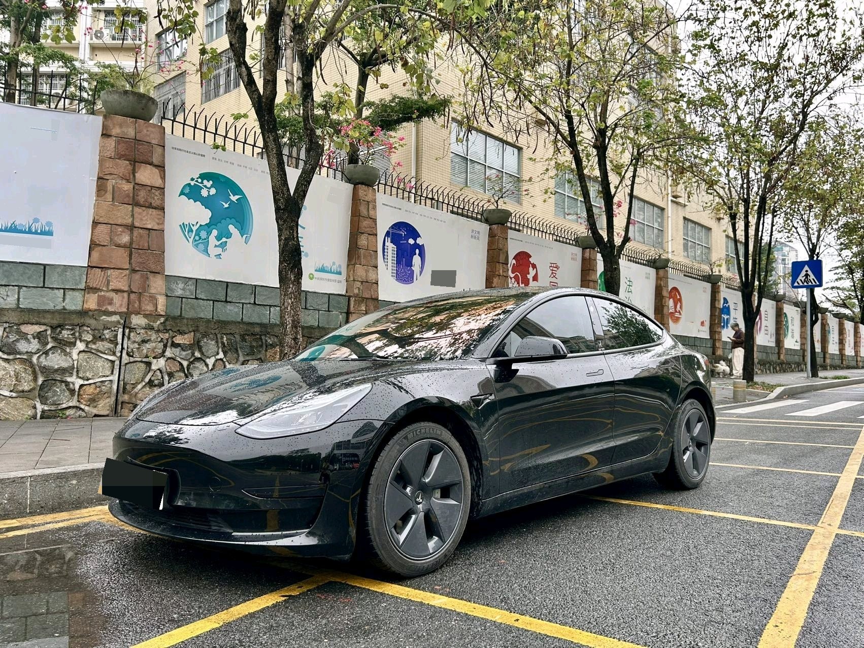 Tesla Model 3 2022 car image 