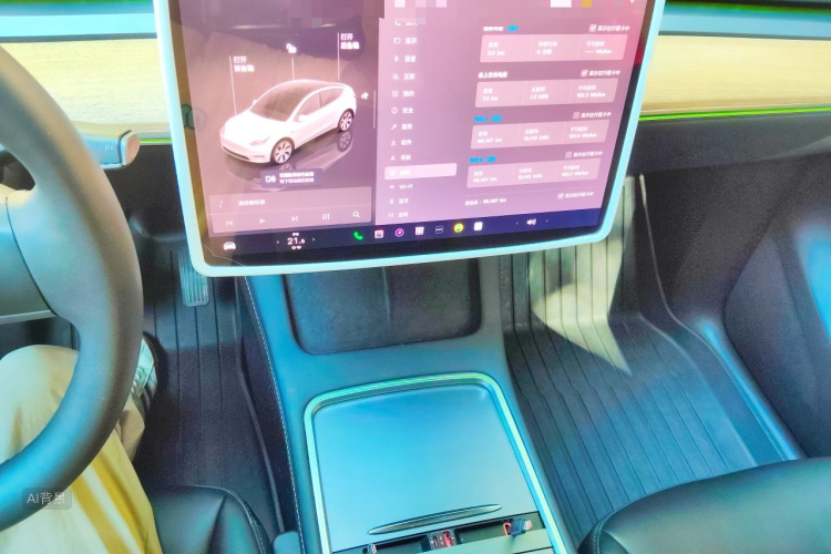 Tesla Model Y 2022 car image #15