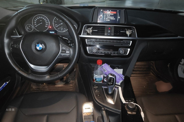BMW 3 Series 2017 imagen de coche #11