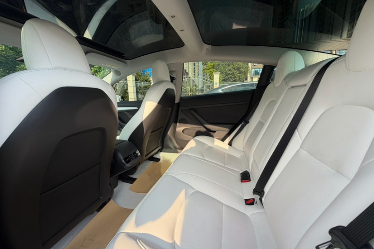 Tesla Model 3 2023 #13 Tesla Model 3 2023 car image #13