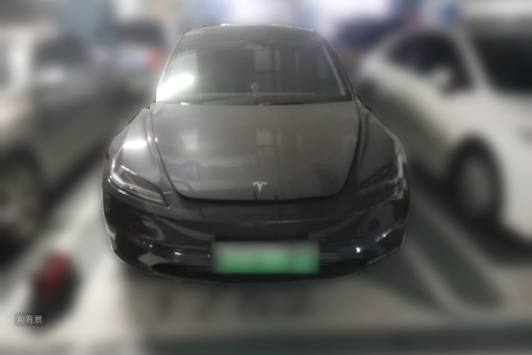 Tesla Model 3 2024 car image #3