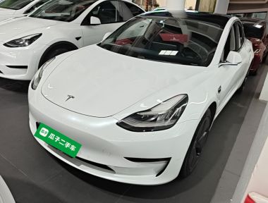 Tesla Model 3 2020 car image 