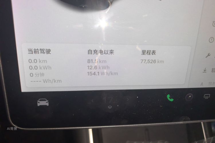 Tesla Model 3 2020 car image #14