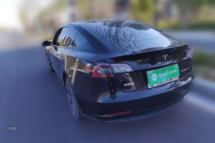 Tesla Model 3 2021 #5 Tesla Model 3 2021 car image #5