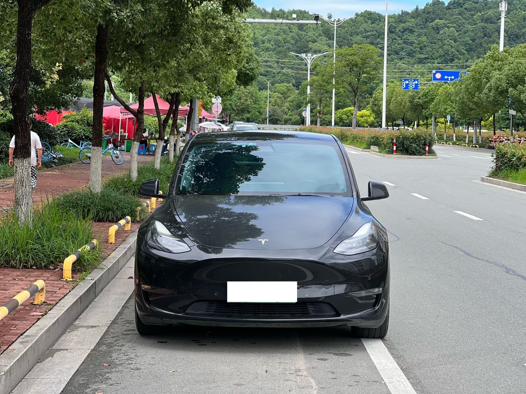 Tesla Model Y 2021 Tesla Model Y 2021 car image