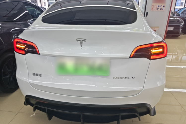 Tesla Model Y 2024 car image #6