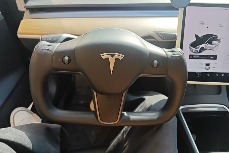 Tesla Model 3 2023 #11 Tesla Model 3 2023 car image #11