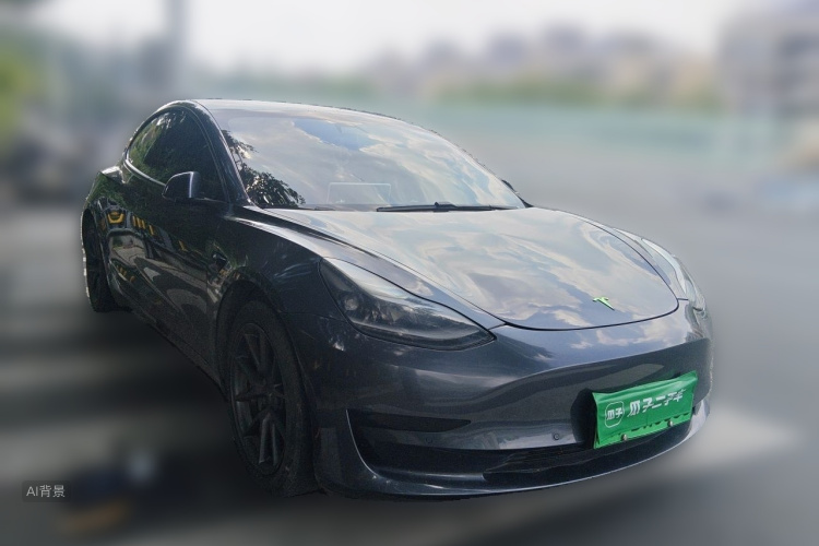 Tesla Model 3 2021 car image #4